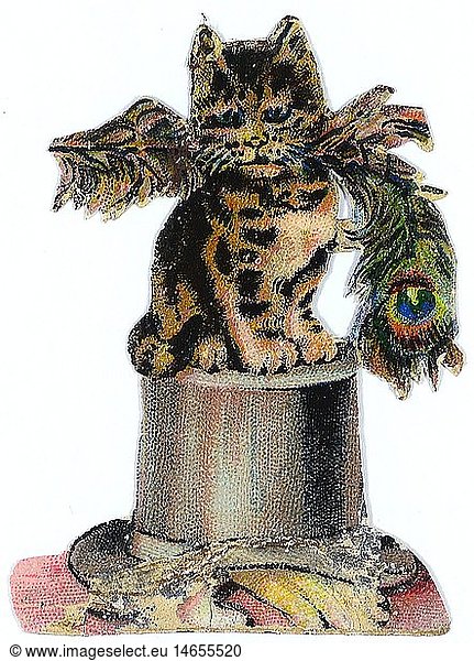 kitsch / souvenir  glossy prints  cat sitting on a hat  a peacock feather in the snout  chromolithograph  late 19th century  autograph book picture  family album picture  animals  animal  sitting  sit  kitsch  hokum  cat  cats  hat  hats  peacock feather  peacock feathers  snout  snouts  chromolithograph  chromolithography  historic  historical