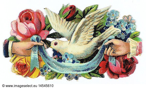 kitsch / souvenir  glossy prints  dove in a flower bouquet  hands holding a ribbon  chromolithograph  late 19th century  autograph book picture  family album picture  people  animals  animal  birds  bird  plant  plants  flower  roses  forget-me-not  kitsch  hokum  dove  doves  flower bouquet  bunch of flowers  bouquets  holding  hold  ribbon  ribbons  chromolithograph  chromolithography  historic  historical