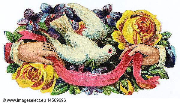 kitsch / souvenir  glossy prints  dove in a flower bouquet  hands holding a ribbon  chromolithograph  late 19th century  autograph book picture  family album picture  people  animals  animal  birds  bird  plant  plants  flower  roses  violet  violets  kitsch  hokum  dove  doves  flower bouquet  bunch of flowers  bouquets  holding  hold  ribbon  ribbons  chromolithograph  chromolithography  historic  historical