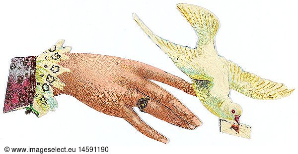 kitsch / souvenir  glossy prints  female hand with dove  chromolithograph  late 19th century  autograph book picture  family album picture  people  female  animals  animal  birds  bird  love letter  love letters  kitsch  hokum  hand  hands  dove  doves  chromolithograph  chromolithography  historic  historical