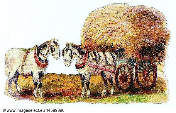 kitsch / souvenir  glossy prints  hay cart and two horses  chromolithograph  late 19th century  autograph book picture  family album pictures  animals  animal  hay  agriculture  farming  kitsch  hokum  hay cart  haywain  hay carts  horse  horses  chromolithograph  chromolithography  historic  historical