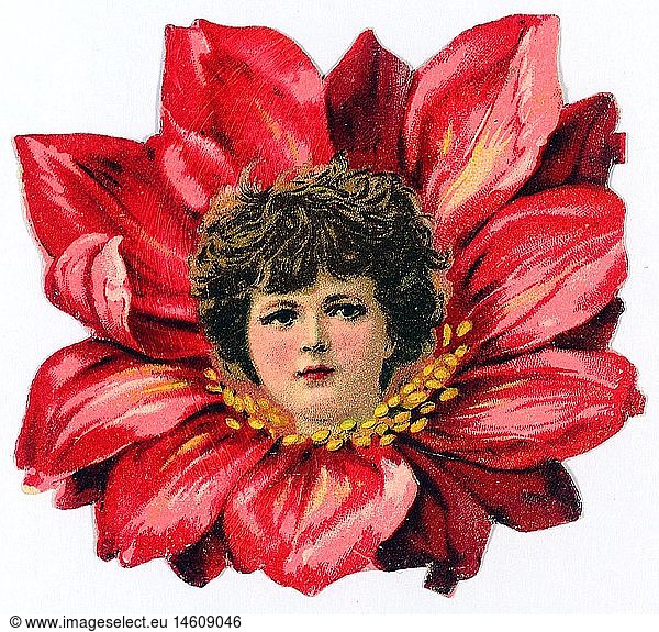 kitsch / souvenir  glossy prints  head of a girl in a flower  chromolithograph  late 19th century  autograph book picture  family album picture  plant  plants  people  face  faces  facial  child  children  kid  kids  kitsch  hokum  head  heads  girl  girls  female  flower  flowers  chromolithograph  chromolithography  historic  historical
