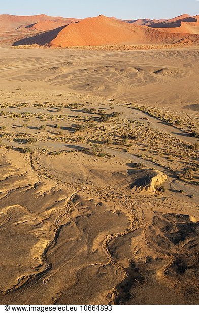 klar Flußbett Ecke Ecken Baum Fernverkehrsstraße trocken Wüste Wahrzeichen Verbindung Fluss Namibia herzförmig Herz Asphalt Namib Sesriem-Canyon Akazie Luftbild Sossusvlei