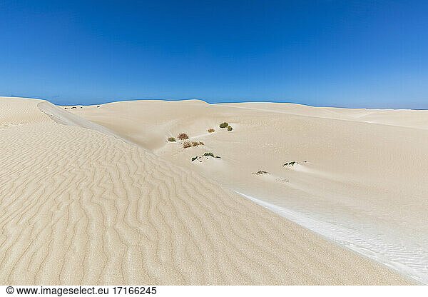 Klarer blauer Himmel über gewellten Sanddünen