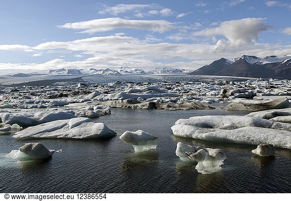 Kleine Eisberge im Gletschersee  Gletscherlagune Jökulsárlón  im Hintergletscher Vatnajökull  Südisland  Island  Europa