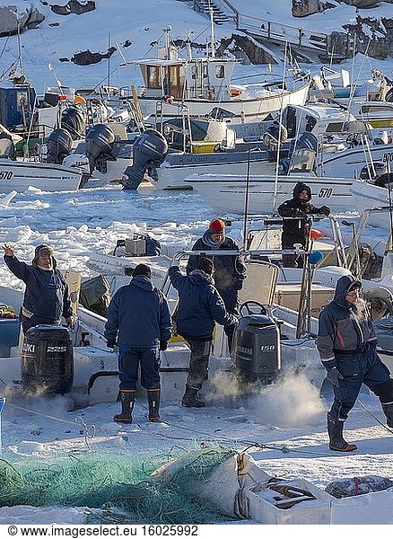 Kleine Fischerboote werden vom Eis befreit . Winter im zugefrorenen Hafen der Stadt Ilulissat am Ufer der Diskobucht. Nordamerika  Grönland  Dänemark
