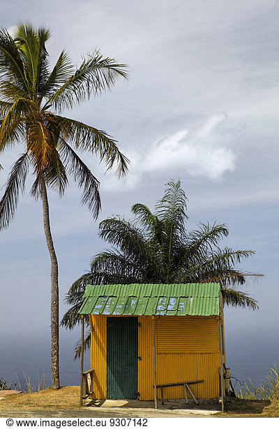 Kleine gelbe Hütte mit grünem Blechdach  Kokospalmen  Tobago  Trinidad und Tobago