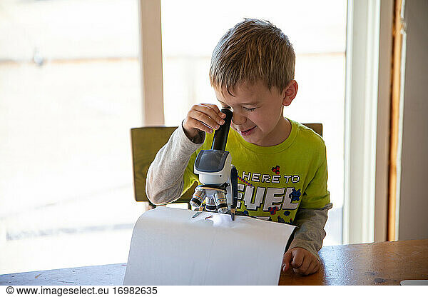 Kleiner Junge betrachtet Käfer unter dem Mikroskop
