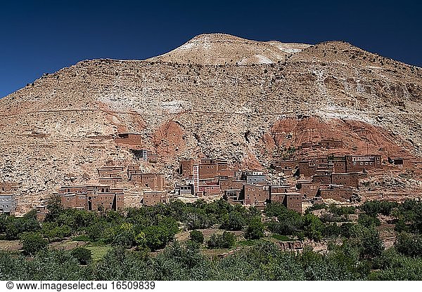 Kleines Lehmdorf mit Kasbahs  Lehmburgen und islamischer Moschee  Flusstal Ait Ounila  Hoher Atlas  Südmarokko  Marokko  Afrika