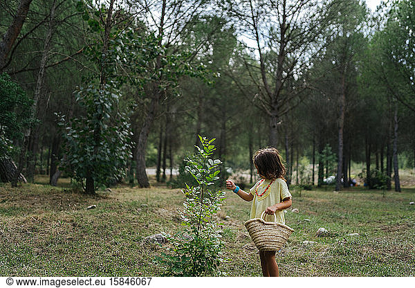 Kleines Mädchen  allein auf dem Feld  im Frühling  neben einem kleinen Baum  mit