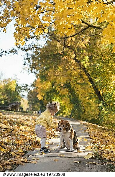 Kleines Mädchen füttert ihren Beagle dot park