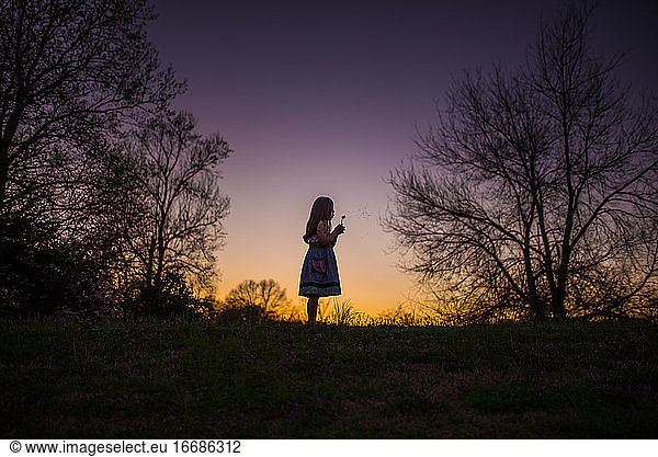Kleines Mädchen hält Blume silohette lange Haare Sommerabend Sonnenuntergang