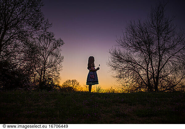 Kleines Mädchen hält Blume silohette lange Haare Sommerabend Sonnenuntergang