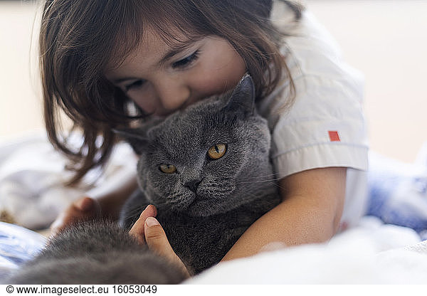 Kleines Mädchen kuschelt mit grauer Katze auf dem Bett