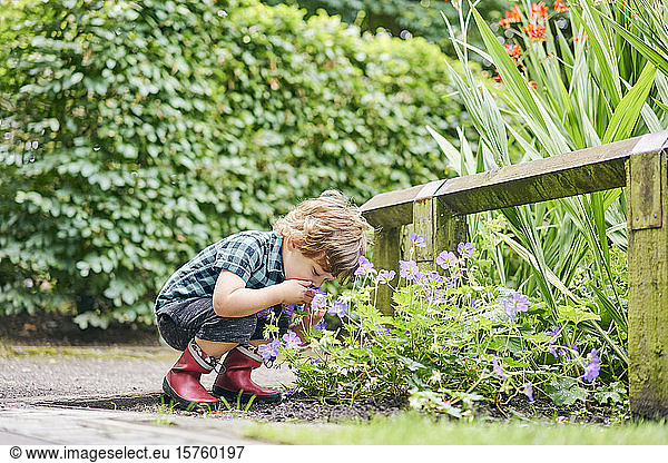 Kleinkind entdeckt Pflanze im Park