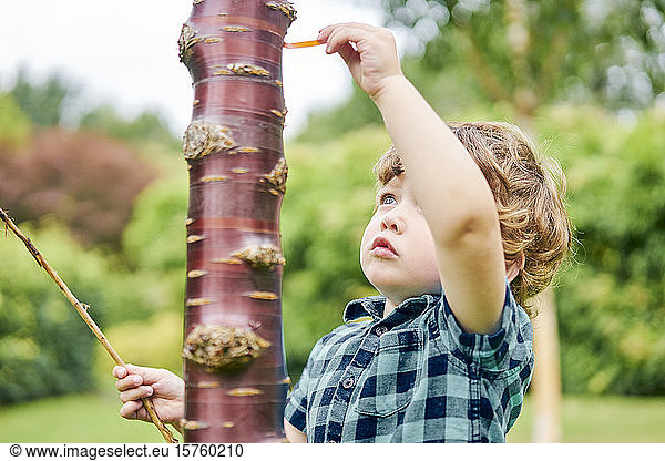 Kleinkind entdeckt ungewöhnlichen Baum im Park