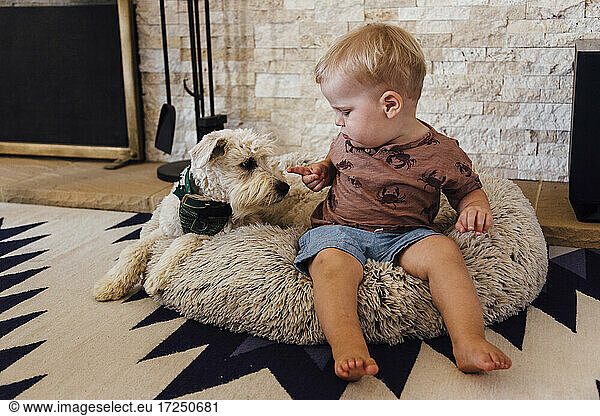 Kleinkind Junge sitzt mit Hund auf Haustier Bett zu Hause