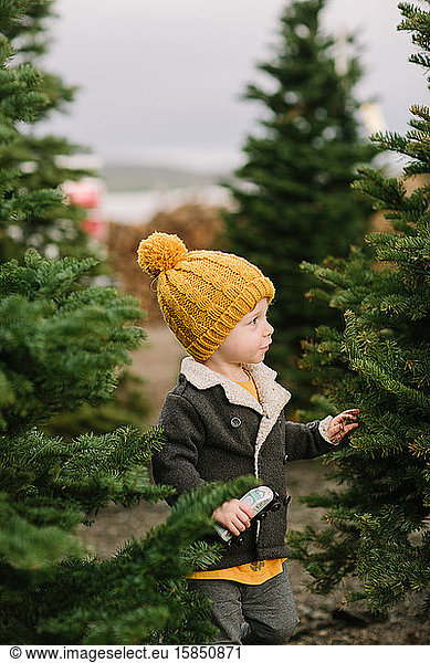 Kleinkind schaut auf Weihnachtsbäume