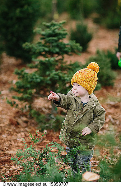 Kleinkind zeigt auf Weihnachtsbaum-Bauernhof
