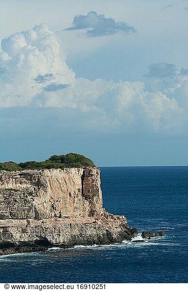 Klippe  Kalkstein  mit schönem blauen Himmel und weißen Wolken  Felsstürze  im Mittelmeer  mit grüner und typischer Küstenvegetation  vertikal.