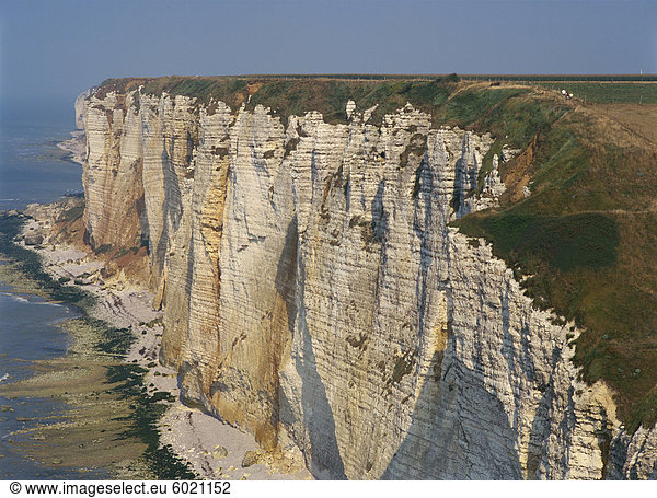 Klippen der Alabaster-Küste in der Nähe von Etretat in Seine Maritime  Haute Normandie  Frankreich  Europa