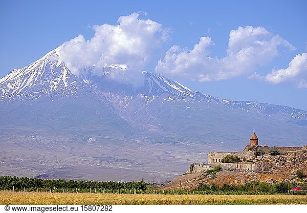 Kloster Chor Virap und Berg Ararat  Provinz Ararat  Armenien  Asien