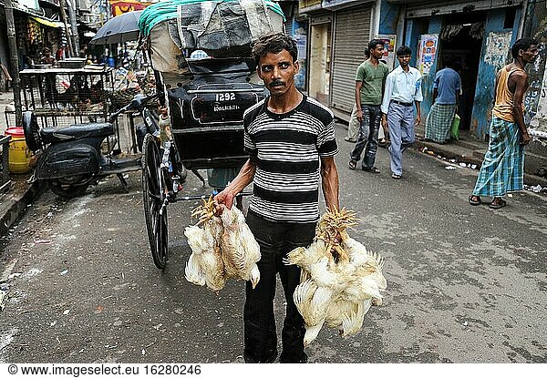 Kolkata (Kalkutta)  Westbengalen  Indien  Asien - Ein Mann auf einem Straßenmarkt hält mehrere lebende Hühner in den Händen  die er zum Transport hochlädt.