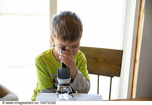 Kopfansicht eines kleinen Jungen  der einen Käfer unter dem Mikroskop betrachtet
