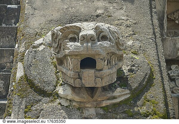 Kopfskulptur Tempel des Quetzalcoatl  Ruinenstadt Teotihuacan  Mexiko  Mittelamerika