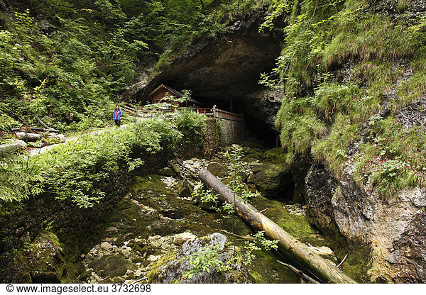 Koppenbruellerhoehle cave  Obertraun  Salzkammergut region  Upper Austria  Austria  Europe