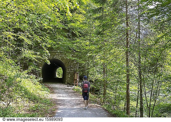 Koppental hiking trail from Obertraun to Bad Aussee  river Koppentraun  railway tunnel of the old route  Salzkammergut  Upper Austria  Austria  Europe