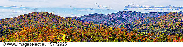Kräftig gefärbtes Herbstlaub im Wald in den Laurentian Mountains; Mount-Tremblant  Quebec  Kanada