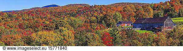 Kräftig gefärbtes Herbstlaub in den Wäldern der Berge und eine Scheune; Quebec  Kanada