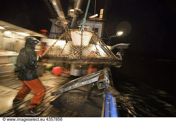 Krabbe  dass Fischer einen Topf herüberkommt am Rand der F/V Morgan Anne in der Saison kommerzielle Brown Krabbe Angeln in Icy Strait  südöstlichen Alaska fängt