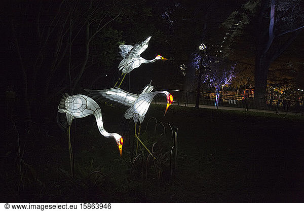Kranich-Lichtskulpturen in Gärten des Lichts zeigen im Botanischen Garten