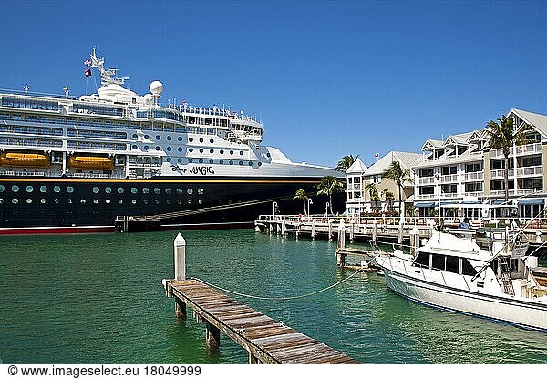 Kreuzfahrtschiff im Hafen  Key West  Florida/ cruise liner  Key West  Florida  Key West  Florida  USA  Nordamerika