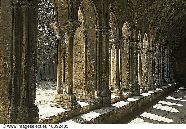 Kreuzgang der Kathedrale St. Trophime in Arles  Provence  Provence-Alpes-Cote d'Azur  Frankreich  Europa