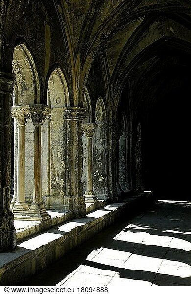 Kreuzgang  Kathedrale Saint Trophime  Arles  Bouches-du-Rhone  Provence-Alpes-Cote d'Azur  Südfrankreich
