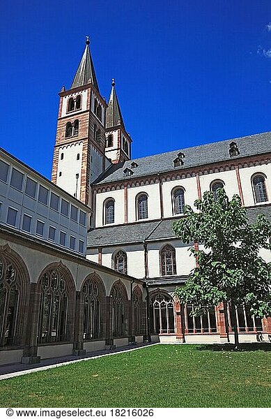 Kreuzgang  St. -Kilians-Dom zu Würzburg oder Dom St. Kilian  Würzburg  Unterfranken  Bayern  Deutschland  Europa