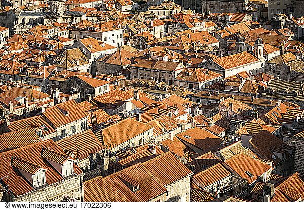 Kroatien  Dubrovnik  Altstadtgebäude mit orangefarbenen Dächern