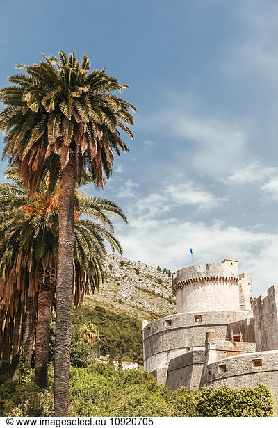 Kroatien  Dubrovnik  Blick auf den Minceta-Turm