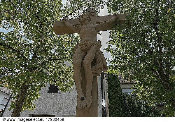 Kruzifix unter Bäumen  Trunstadt  Viereth-Trunstadt  Unterfranken  Bayern  Deutschland  Europa
