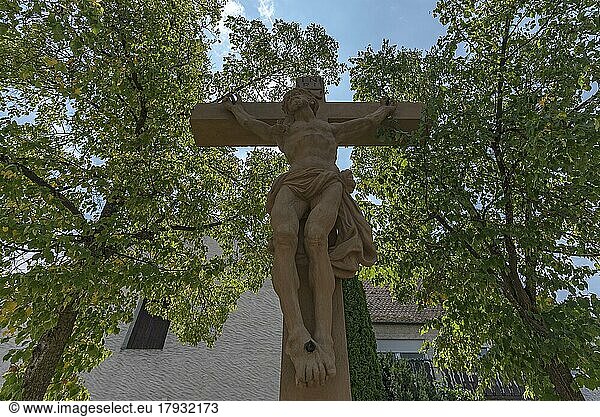 Kruzifix unter Bäumen  Trunstadt  Viereth-Trunstadt  Unterfranken  Bayern  Deutschland  Europa
