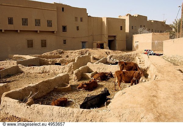 Ksar of Goulmima Goulmina Morocco