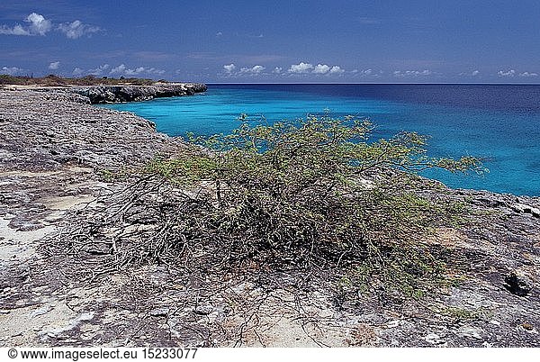 Kueste von Bonaire  Niederlaendische Antillen  Bonaire  Karibik  Karibisches Meer  Washington Slagbaai Nationalpark  WayakÃ¡