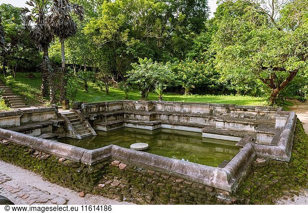 Kumara Pokuna or the Royal Bath. Ancient City of Polonnaruwa  North Central Province  Sri Lanka  Asia.