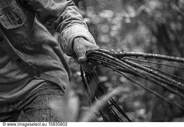 Kunsthandwerkerin sammelt Lianen im Regenwald  um sie für ihre Kunstwerke zu verwenden