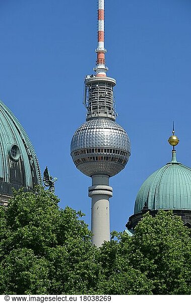 Kuppel  Berliner Dom  Fernsehturm  Lustgarten  Mitte  Berlin  Deutschland  Europa