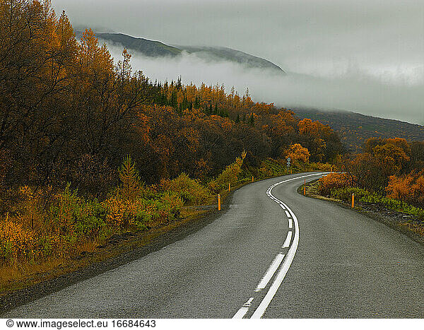kurvenreiche Straße im Wald Hallormsstaðaskógur im Osten Islands