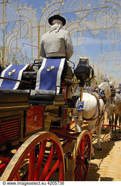 Kutscher   Feria de Caballo   Jerez de la Frontera   Cadiz   Andalusien   Spanien   Europa